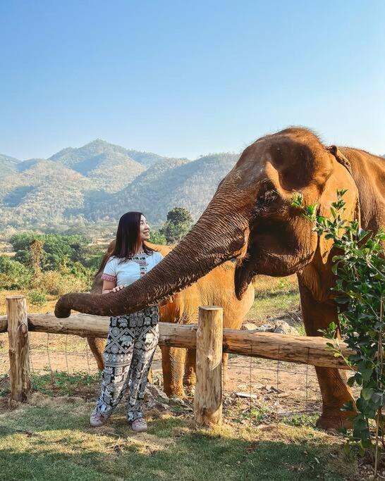 Elephantpoolvilla Maetang Chiangmai Ban Muang Kut Экстерьер фото